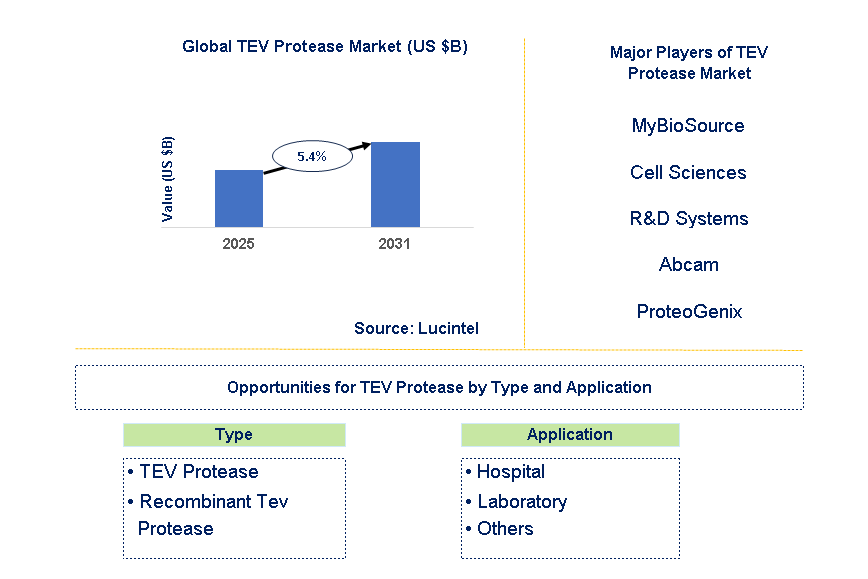 TEV Protease Market Trends and Forecast